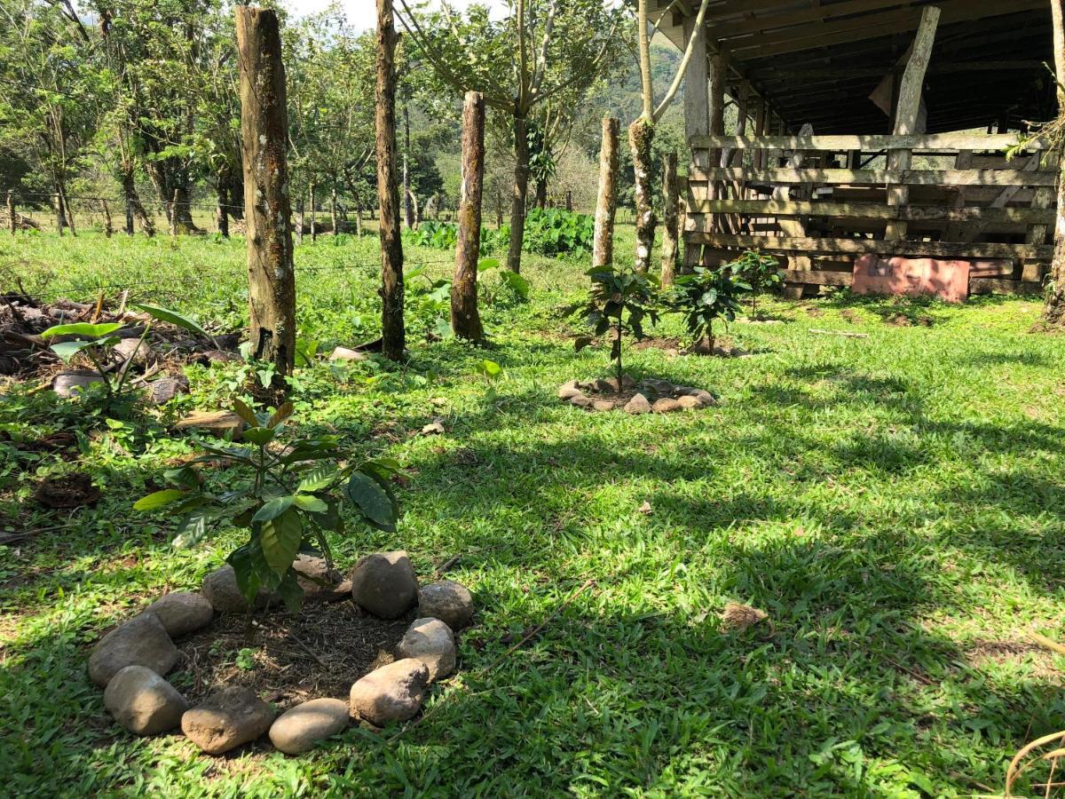 Casita El Jardin Villa Bijagua Exterior photo